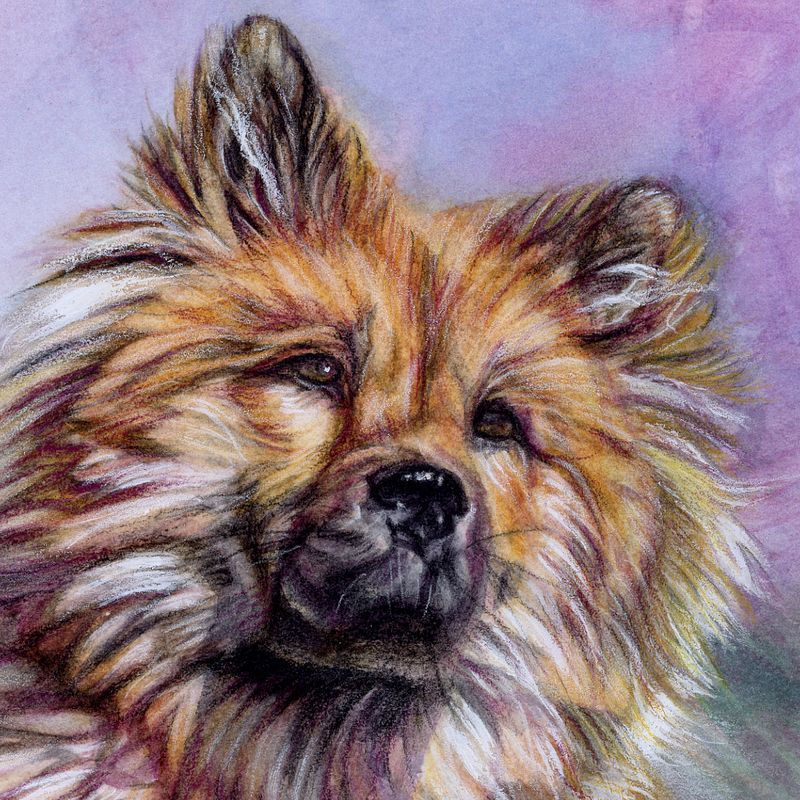 Mon projet du cours : Portraits expressifs d'animaux à l'aquarelle