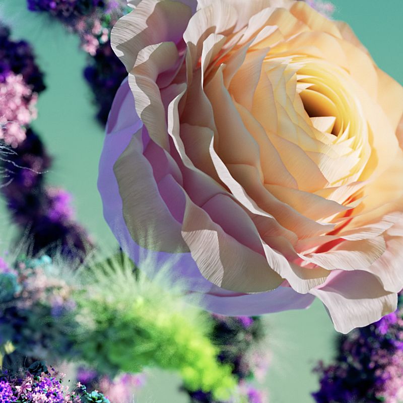 Flora