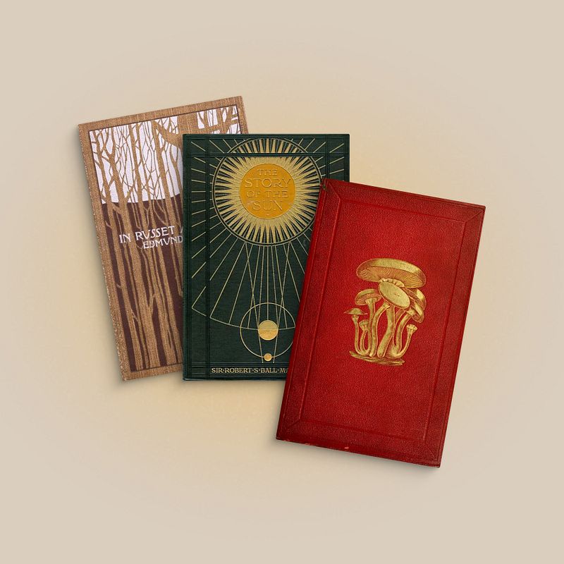 Vibrant* online bookstore