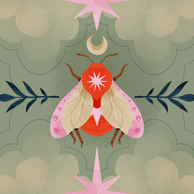 Fardaus - Branding & Illustration