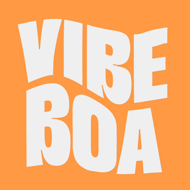 Logo Vibe boa 