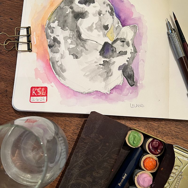 My project for course: Illustrated Diary: Fill Your Sketchbook with Experiences