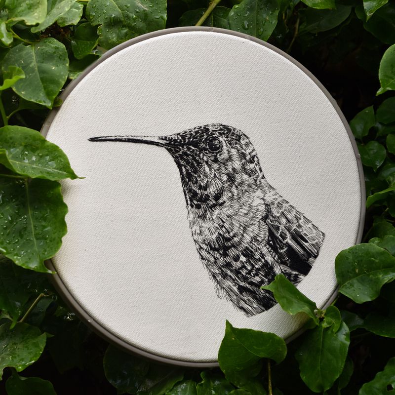 COLIBRÍ · DIBUJO CON HILO NEGRO