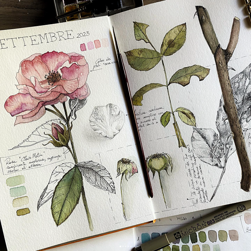 Progetto personale: Diario botanico 