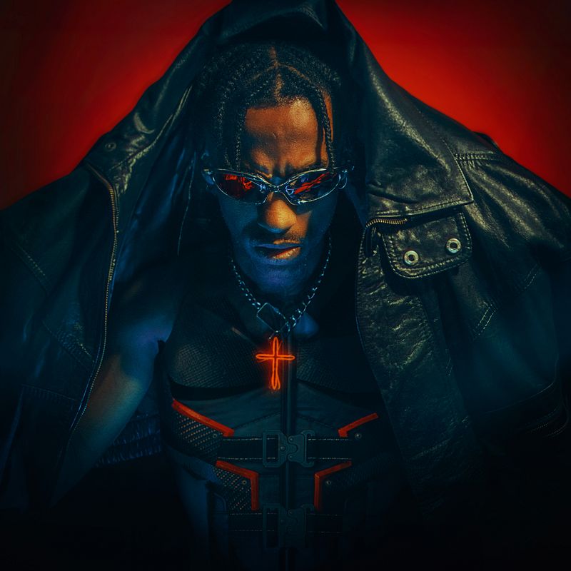 The Vampire Hunter