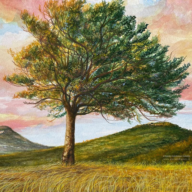 Il mio progetto del corso: Pittura ad acquerello: esplora le tecniche del pennello asciutto