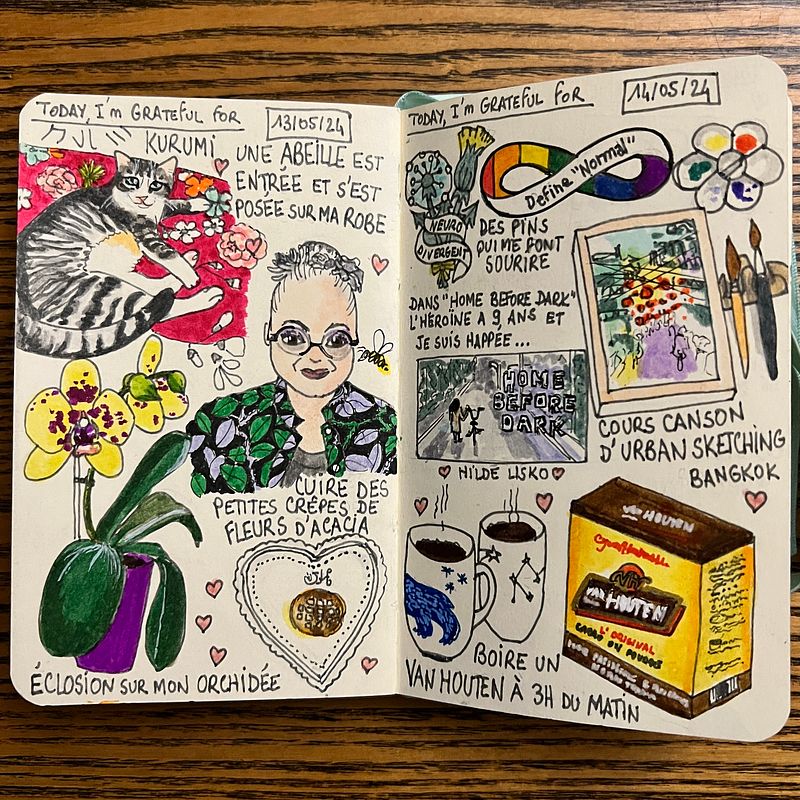 Follow up n°30 to "Illustrated Life Journal: A Daily Mindful Practice" : May 2024
