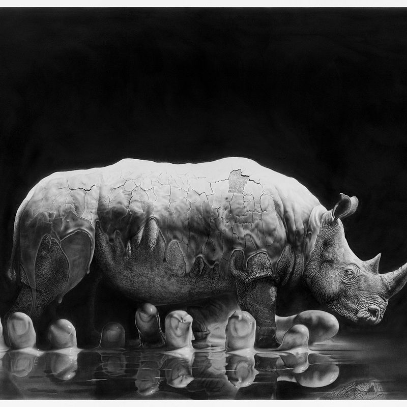 The planning behind 'Rhino in the mud' drawing