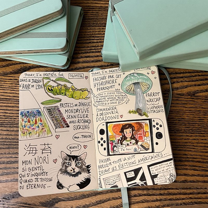 Carnet de gratitude : November 2024
