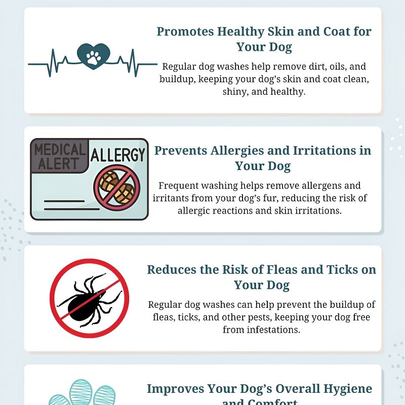 Why Regular Dog Washes Are Essential for Your Pup