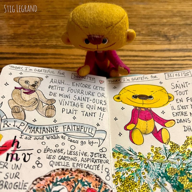 Carnet de gratitude : January 2025 sketchbook