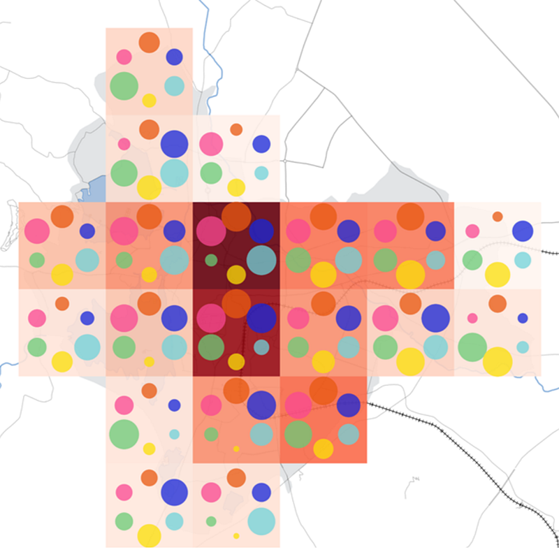 Decoding Udaipur Demographics