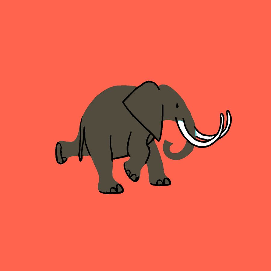 Image Junceda Awards