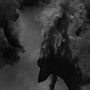 'Dust': un poema visual de Helio Vega sobre los conflictos
