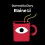 Domestika Diary: Elaine Li