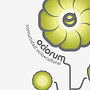 OCIORUM .  proyek oleh Nano Molina - 04.12.2010