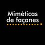 Mimètricas de façanes. Un proyecto de Diseño, Ilustración tradicional, UX / UI, Informática y Fotografía de Conxi Papió Cabezas - 25.10.2012