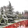 Un poco de nieve . % carola broughton tarafından hazırlanan Reklamcılık, Tasarım, Fotoğrafçılık, Ve Film, Video ve TV projesi - 03.07.2013