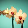 Aroma de la Luz . % aroma_de_la_luz tarafından hazırlanan Fotoğrafçılık projesi - 06.14.2013