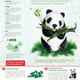 El oso panda o panda gigante . % Lizeth Nohelia Avendaño tarafından hazırlanan Grafik Tasarım projesi - 02.04.2016