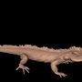 Iguana realizada en Autodesk Mudbox. Un projet de 3D de Susana Costoya - 21.07.2016
