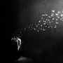 [INTROSPECTIVA]. Un progetto di Fotografia e Postproduzione fotografica di b_albarranfoto - 21.11.2016