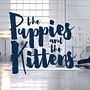 The Puppies and the Kittens. Un progetto di Cinema, video e TV, Pubblicità e Video di CELOFAN - 09.02.2017