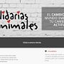 Solidarias con los Animales. Un proyecto de Educación de Lourdes Robles Robles - 26.04.2017