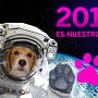2018, año del perro. Een project van Cop y writing van Álvaro Rodríguez de Miguel - 09.01.2018