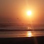 Sunset . Fotografie de Vanesa Sz - 02.14.2018