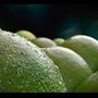 Sound Design, Music & Audiologo  para Spot Publicitario . % Adrián Lacalle González tarafından hazırlanan Film, Video ve TV, Müzik, Reklamcılık, Ve Ses Tasarımı projesi - 03.27.2019