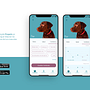 Propets, una App para mejorar la felicidad de nuestras mascotas y luchar contra el abandono animal. Product Design, and Mobile Design project by Paloma Plaza Domínguez - 07.17.2019