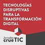 Crue TIC Jornadas Digitales 2020. Br, ing, Identit, Graphic Design, Education, Events, and Motion Graphics project by Amaia Zelaiaundi - 03.20.2020