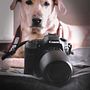 Mi Proyecto del curso: Introducción a la fotografía de perros Ein Projekt aus dem Bereich Fotografie, Studiofotografie, Porträtfotografie, Digitalfotografie und Außenfotografie von Marina Quilon - 18.02.2020
