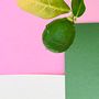 Mi proyecto: Fondos de plantas y cartulinas . Desain Seluler, Fotografi Seni Rupa & Ilustrasi Botani proyek oleh Sandra DM - 04.27.2020