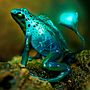 Mi Proyecto del curso: Secretos del fotomontaje y el retoque creativo . % Alberto Cerón Nieto tarafından hazırlanan Grafik Tasarım projesi - 04.29.2020