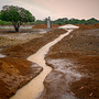 Coexistentia - O caminho para o desenvolvimento do povo do Semiárido!. Een project van  Documentairefotografie van Ricardo Araújo - 04.06.2020