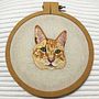 Mi Proyecto del curso: Pupi. Embroider project by Natalia Canabal - 06.17.2020