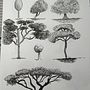 Mi Proyecto del curso: Dibujo para principiantes nivel -1. Un projet de Dessin de joan piquer montón - 13.09.2020