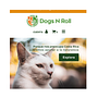 Creación de mi tienda virtual para mascotas en Costa Rica: Dogs N Roll. Web Design, Web Development, Digital Marketing, E-commerce, No-Code Development, and Business project by Imara Corrales Alzuate - 02.10.2023
