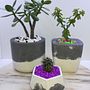 Creación de @happypots.gardens Ein Projekt aus dem Bereich Kreativität von Ricardo Vargas - 04.10.2020