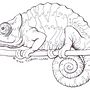 Chameleon Line illustration (Biro). Un progetto di Illustrazione con inchiostro di Gill Elsbury-Clark - 13.10.2010