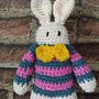 Meu projeto do curso: Amigurumi: criação de personagens com crochê Ein Projekt aus dem Bereich Handwerk und Kreativität von Renata Nogueira - 13.12.2020