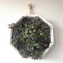 Mi Proyecto del curso: Diseño y creación de composiciones botánicas. Un projet de Décoration de Monica Barbosa - 01.02.2021