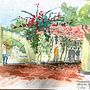 Pérgola y bugambilias . Arhitectură de Mario Alberto Reyes - 02.13.2021