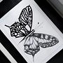 CalligraphyButterfly. Calligraph, Creativit, Digital Design, Digital Drawing, Digital Illustration, Digital Lettering, Sketchbook, Sketching, and Tattoo Design project by Alex Graf - 03.08.2021