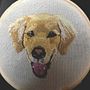 Tomate otro de mis perros. Embroidery project by Diana Coy - 03.12.2021