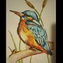 Kingfisher - watercolor pictures. Projekt z dziedziny Ilustracje dla dzieci, Kreat, wność i Malowanie akwarelą użytkownika Maja P - 16.04.2021