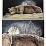 Animales totémicos . Un progetto di Pittura di Elena Úbeda - 01.06.2021
