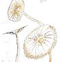 Botanical Watercolor Sketchbook. Traditional illustration project by Silver RavenWolf - 07.01.2021